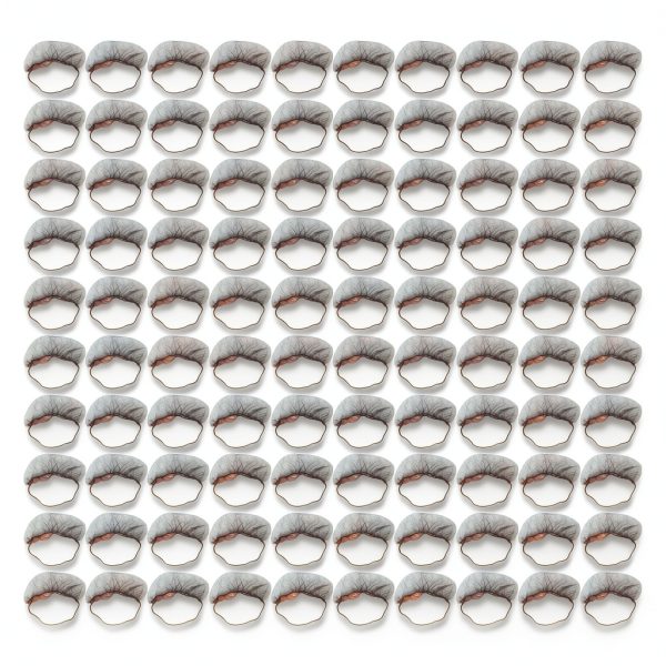 FOLOSAFENAR Beard Cover Nylon Disposable Food Safety-5