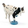Fantspati Bird Bath Heater Fast Heating Outdoor-5