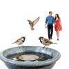 EcoGarden Copper Bird Bath Disk Solid Copper 4x4in Cpwp-001 Model-2