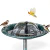 Relaxweex 55W Bird Bath Heater with Deicer Kit Model EP2303208F01-2