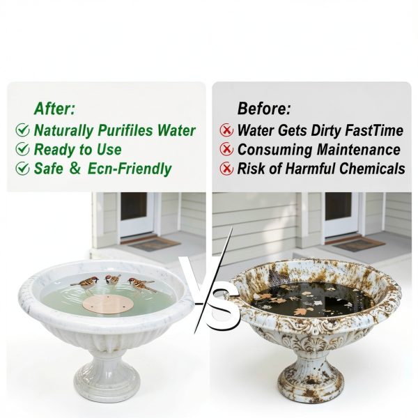 EcoGarden Copper Bird Bath Disk Solid Copper 4x4in Cpwp-001 Model-5