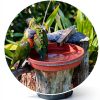 MEWTOGO Birdbath Heater 48W Thermostatic Deicer for Plastic Glass-5