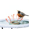 Woxzibb Winter Bird Bath Heater 120V 70W Aluminum De-Icer Model-1