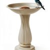 Bird Bath Copper Disk, 99.99% Pure Copper Disk for Bird Baths, Stable Triple-Point Support, Safe Natural Solution for Outdoor Birdbaths Bowls, All-Season Use with All Outdoor Birdbath Bowls-3