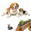 10 Pack Garden Animal Barrier Fence, 1.65inch Spike Spacing No Dig Fence, Reusable Rustproof Metal Defense Border, Dogs Rabbits Blocker Fence for Outdoor Yard, Total 10.8ft(L) x 17inch(H)-4